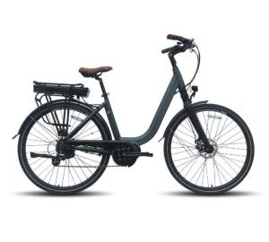 Quality 2 Wheel 28 Inch Electric Bike 36v 10.4 Ah Lithium Battery GPS 40km/H 50km/H wholesale