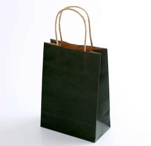 Quality Custom Luxury Gift Garment Paper Shopping Bags With Logo Print wholesale