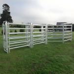 Galvanized Welded Pipe Cattle Fence Panel 8FT Horse Farm Fencing Panels