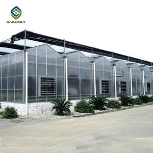 Quality 9.6m PC Sheet Greenhouse wholesale