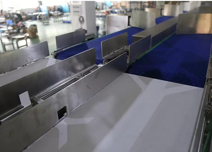 Horizontal Weight Sorter Machine With Pusher Rejector PLC Control