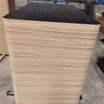 FSC Melamine Glue E1 21mm Film Faced Plywood