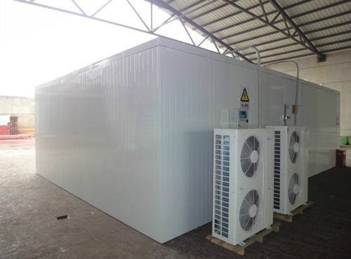 Commercial Cold room price 20ft container walk in freezer cold storage for keep fresh fruits /vegetables /fish/transportation