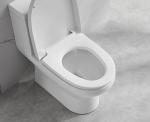 One Piece Ceramic Toilet Set 685×370×725mm Siphonic Flushing