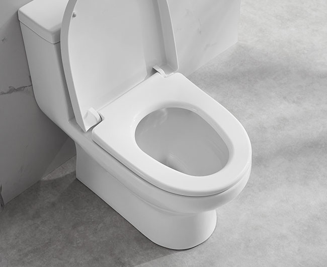 One Piece Ceramic Toilet Set 685×370×725mm Siphonic Flushing