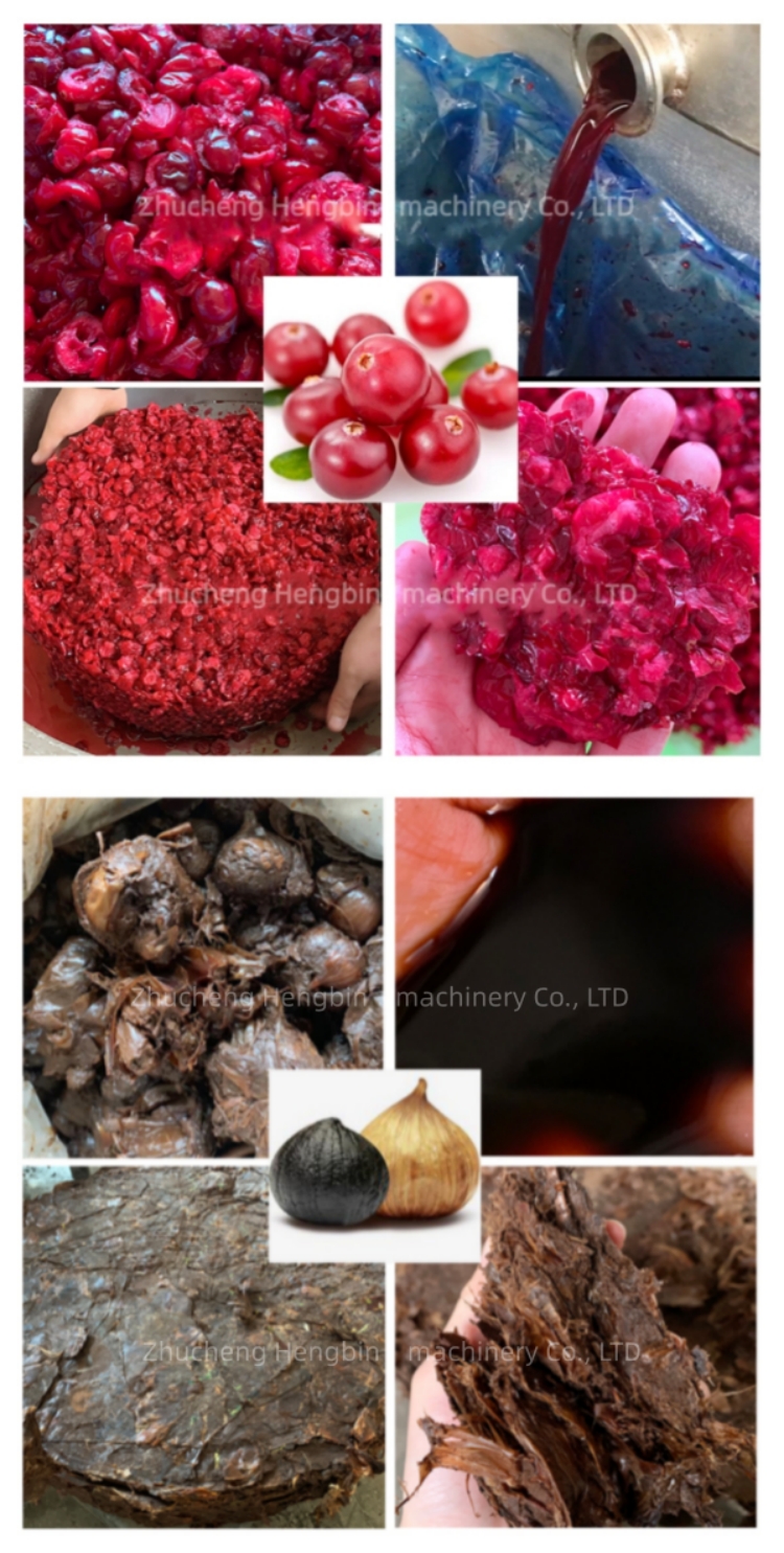 Commercial Hydraulic Cold Press Juicer with 50-500T Cylinder Pressure 1650*942*2270mm