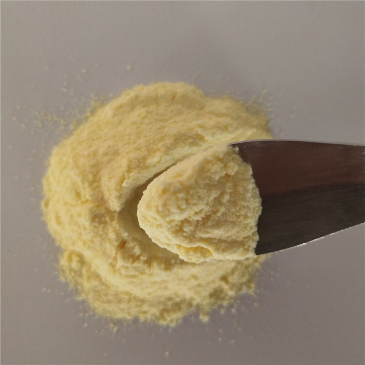 high quality instant natural pineapple fruit juice powder