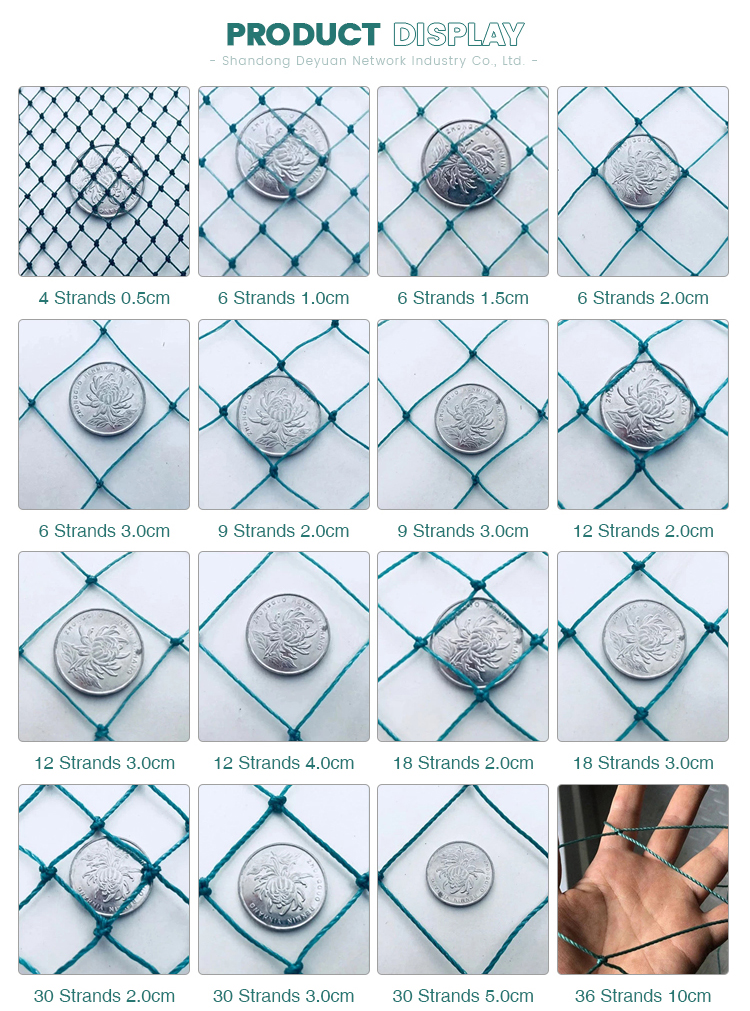 factory price pe farm plastic nets garden orchard anti bird net