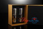High Fidelity Speaker Vacuum Tube Hi - End Nature Sound Series Shuguang 805A-T