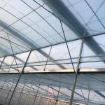 Hot-dipped Galvanized Frame Multi-span Agricultural Film Greenhouse