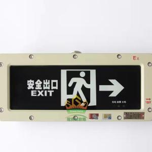Quality Indoor / Outdoor Flameproof Emergency Light 220V 3000K-6000K wholesale