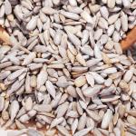 Handpicked Delicious Raw Sunflower Kernels Low Calorie 100% Green Foods
