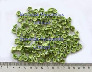 Quality Freeze Dried Green Bean 5-6mm cross cut wholesale