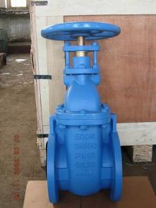 Quality (BS) Cast Iron Gate Valve NRS wholesale