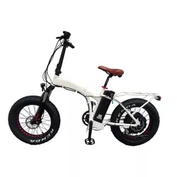 DOMANCA 36V 9.6 AH Electric Folding Bike Customized and Multicolored Electric Bicycle