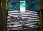 High Protein Frozen Pacific Saury