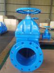 DI PN25 BS5163 Gate Valve 10 Inch Flanged ISO9001 Certifcated