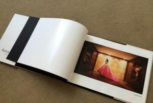 Quality Contemporary Pregnancy / Love Memories Softcover Photo Book 14x10 wholesale