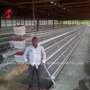 Quality Layers Battery Cage Price In Nigeria 12 Weeks Chicken 128 Birds Star wholesale