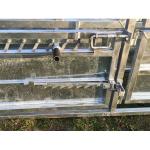 Australia Standard Vet Cattle Crush without Y section