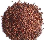 100% natural OPCgrape seed extract