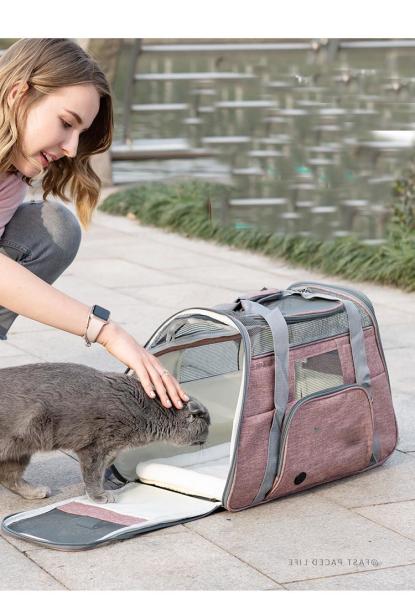 Lightweight Pet Carrier Travel Bag 19x11x11 21x13x13 18x14x8 18x11x11 18.5 Long