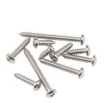 Din7981 C1022a Self Tapping Metal Screws Stainless Steel Self Tapping Screws Pan