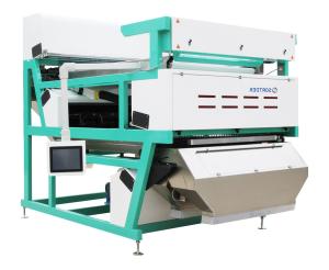 Quality Super Speed Garlic Color Sorter Equipment With High Frequency Solenoid Valve wholesale