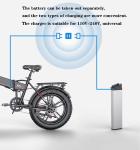 Haiba Electric Rechargeable Bicycle Lithium Battery 250W 500w 750w