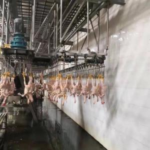 Quality Stainless Steel 304 Turkey Slaughtering Machine Poultry Slaughterhouse Plant Machine wholesale