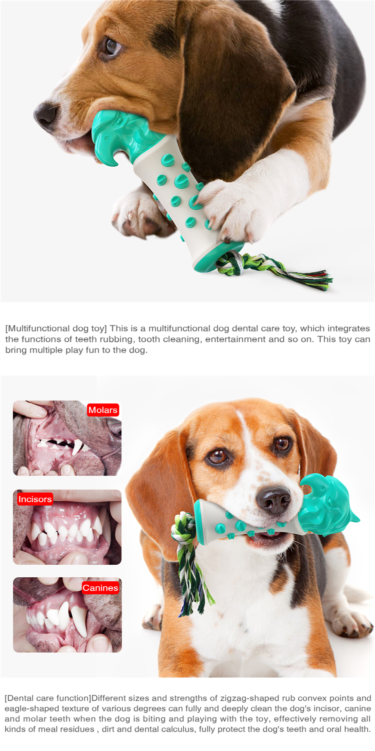 New Multifunctional Interactive Teeth-cleaning Self-playing Food Dispensing Rubber Ball Chew Aggressive Dog Chew Toy