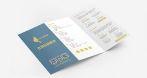 Quality 800gsm 1000gsm Hardcover Brochure Printing Offset Flyer Printing wholesale