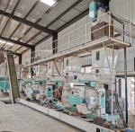 5-6t/h Complete Wood Pellet Production Line Sawdust SGS Certification
