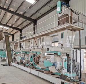 Quality Indonesia 10t/h Wood Biomass Pellet Production Line Used in Biomass Power Generation wholesale