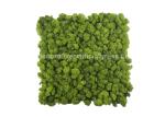 Natural Lichen Moss Green Tiles Wall Mat Backdrop 30cm*30cm 50cm*50cm