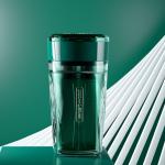 Luxury Eco Friendly Hotel Toiletries Disposable Hotel Amenities Sets
