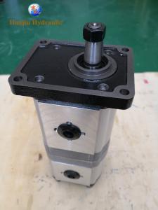 Quality Caproni Group 20 Series Gear Pump / High Pressure Double Pump wholesale