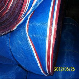 Quality Thailand market use blue plastic wire netting wholesale