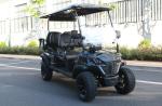 6 Passenger Off-road Golf Cart Automatic Lightweight Electric Buggy Customized