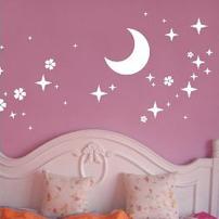 Quality Funky Designer Wall Flower Stickers XCL-011, /Design Wall Sticker /Decal Wall Stickers /Floral Wall Stickers wholesale