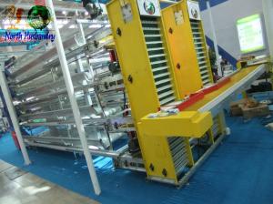 Quality egg laying poultry cages supply wholesale