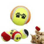 dog fetch toy tennis ball