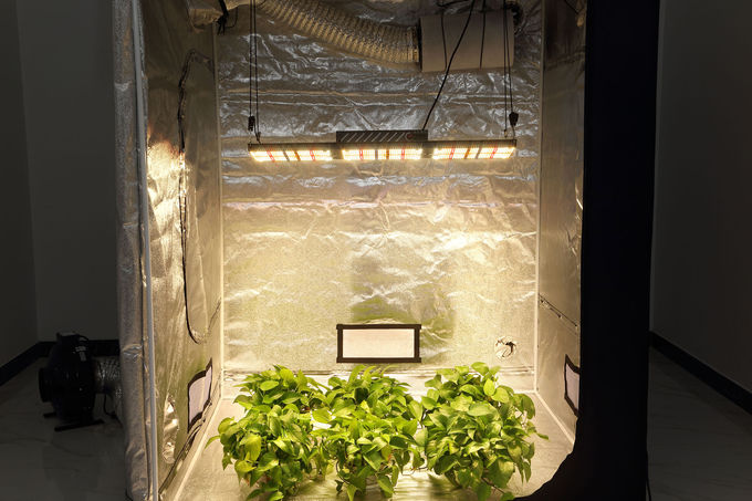 Full Spectrum LED Grow Lights v4 samsungs lm301h uv ir 320w for indoor plant growth 4