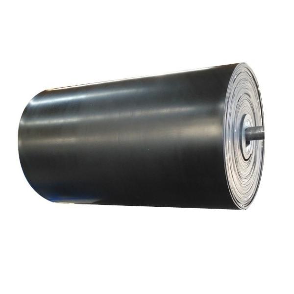 600/900/1200/1500 N/mm Strength Polyester Conveyor Belt for Heavy Duty
