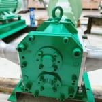 Replace BöRger Rotary Lobe Pump PL 200 For Primary Sludge