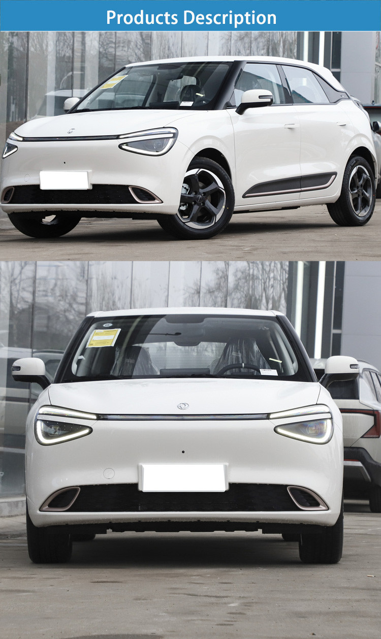 Pure 430 Dongfeng Nano Box EV Electric Car SUV 2024 Energy Vehicle Forward Shift Number 5