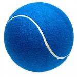 inflatable jumbo fun ball