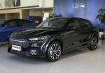 China Ebu Light Luxury 4 Wheeler Electric Vehicle Ford Electric Horse 2021