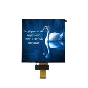 Quality 1000nits Square LCD Screen 7.53 Inch Square TFT Display 800*800 1000cd/m2 wholesale