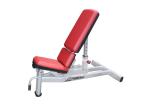 Gym Club Life Fitness Multi Adjustable Bench Body Fit Equipment